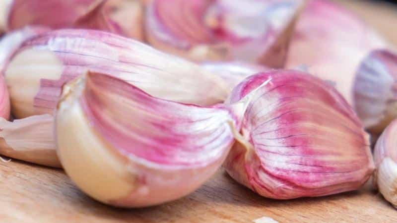 Se vuoi sapere come coltivare l'aglio grosso nel tuo giardino, segui i consigli utili dei giardinieri esperti