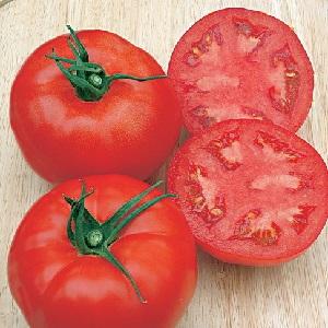 Líder entre los tomates de maduración temprana, el favorito de los agricultores: tomate Katyusha, características y descripción de la variedad.