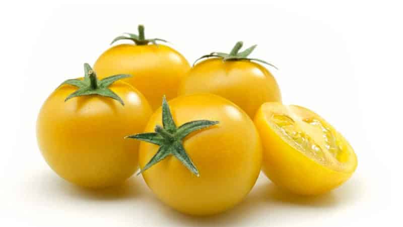 Features of caring for yellow-fruited tomatoes