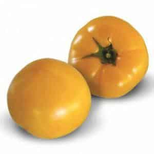 Features of caring for yellow-fruited tomatoes