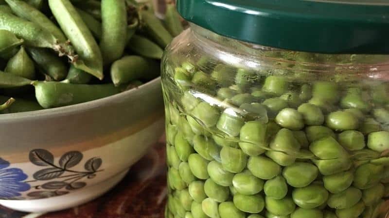 Nous préservons le goût et les propriétés bénéfiques toute l'année : cosses de pois - recettes pour l'hiver de ménagères expérimentées