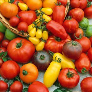 Top 15 sweetest varieties of tomatoes for greenhouses: review of the best and help in choosing the right type