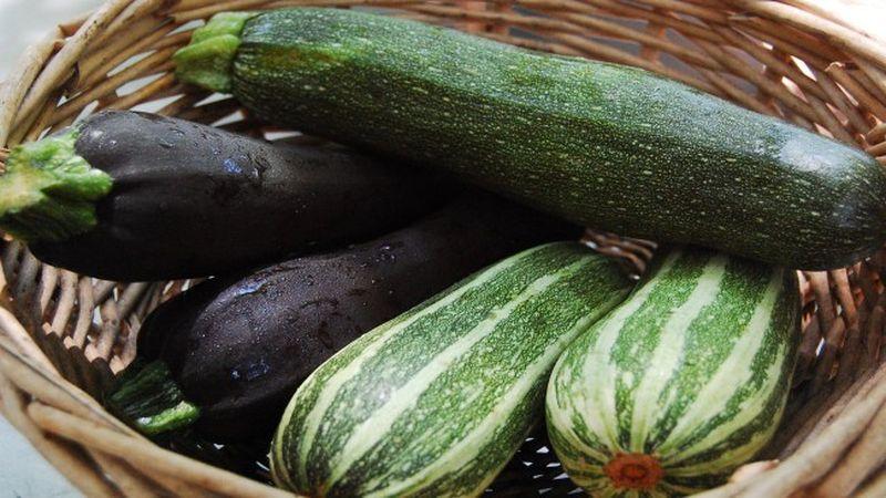 Hva og hvordan lagre zucchini i lang tid - skape ideelle forhold