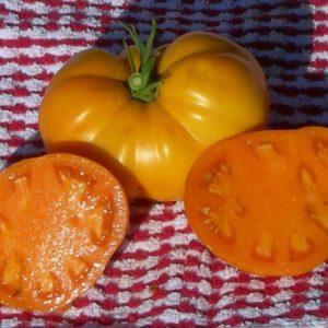 Teneur record en nutriments, aspect brillant et goût riche - tomate Golden Heart