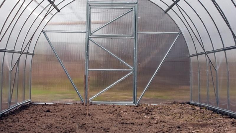 Eine Rekordernte an Tomaten in einem Polycarbonat-Gewächshaus anbauen: Pflanzung und Pflege, Ratschläge von Agronomen