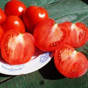 Uma das variedades de estufa mais doces - tomate Alexandre, o Grande