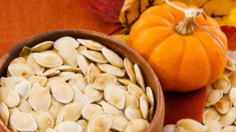 A miraculous tasty mixture - what are the benefits of pumpkin seeds and honey and how to use them correctly