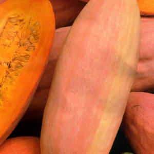 An exotic vegetable with an unusual taste and name - Pink banana pumpkin: description of the variety