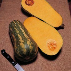 The most popular varieties of green pumpkin and features of their cultivation