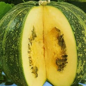 The most popular varieties of green pumpkin and features of their cultivation