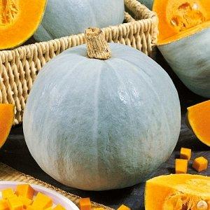 The most popular varieties of green pumpkin and features of their cultivation