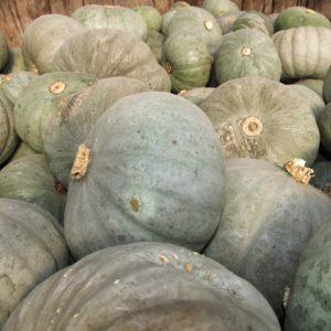 The most popular varieties of green pumpkin and features of their cultivation