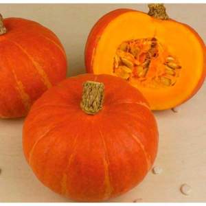 Variedad de calabaza Hokkaido de color rojo anaranjado con aroma a nuez y alto contenido en vitaminas y fibra.