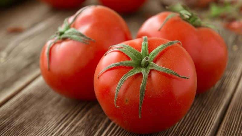 Tomate universelle à maturation précoce Volgograd: qu'est-ce qui est bon et pourquoi cela vaut la peine de la cultiver sur votre parcelle