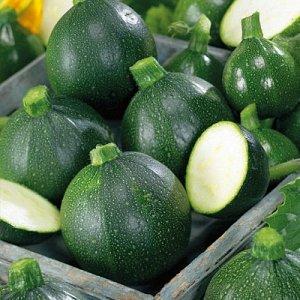 Avantages et inconvénients des courgettes rondes que tout résident d'été devrait connaître