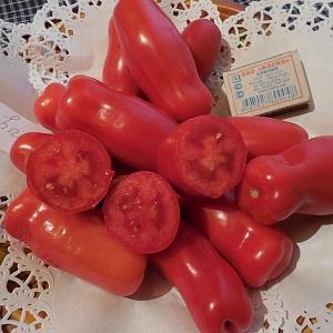 Mid-season, high-yielding and unusually shaped Casanova tomato: reviews from farmers and growing tips