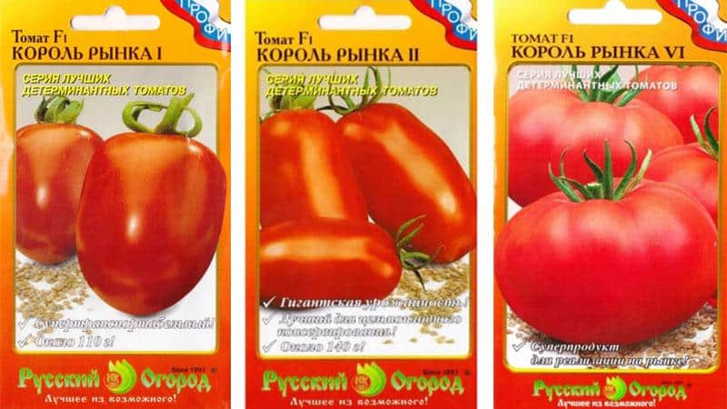 Tomate precoce brilhante com frutos grandes - o tomate rei do mercado e os segredos de seu cultivo de jardineiros experientes