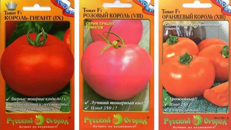 Tomate precoce brilhante com frutos grandes - o tomate rei do mercado e os segredos de seu cultivo de jardineiros experientes