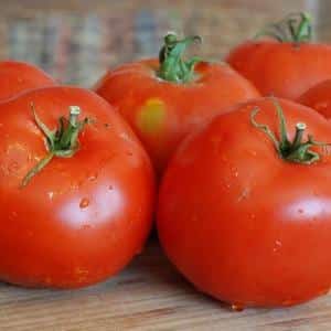 Idéal pour les serres, les tomates à maturation précoce et à haut rendement Blagovest : comment la cultiver correctement