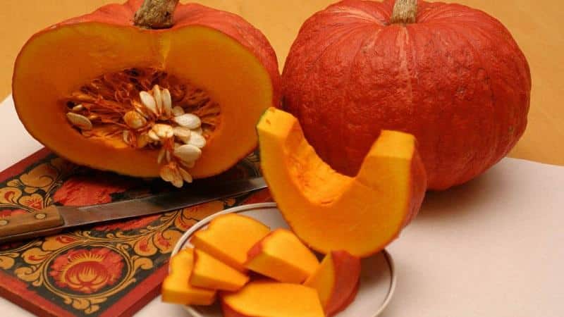 Unpretentious in care and sweet-tasting pumpkin Candy: advantages and disadvantages of the variety