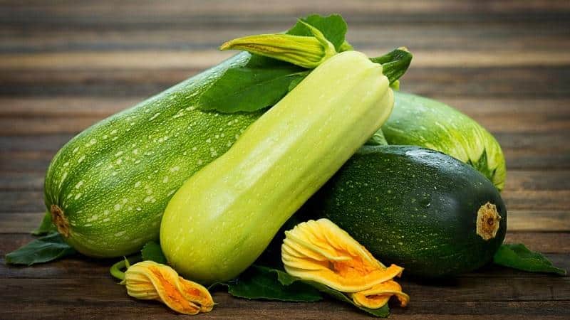 Bagaimana zucchini dan zucchini berbeza dalam penampilan, rasa dan sifat lain: mari kita lihat secara terperinci dan jangan mengelirukannya lagi