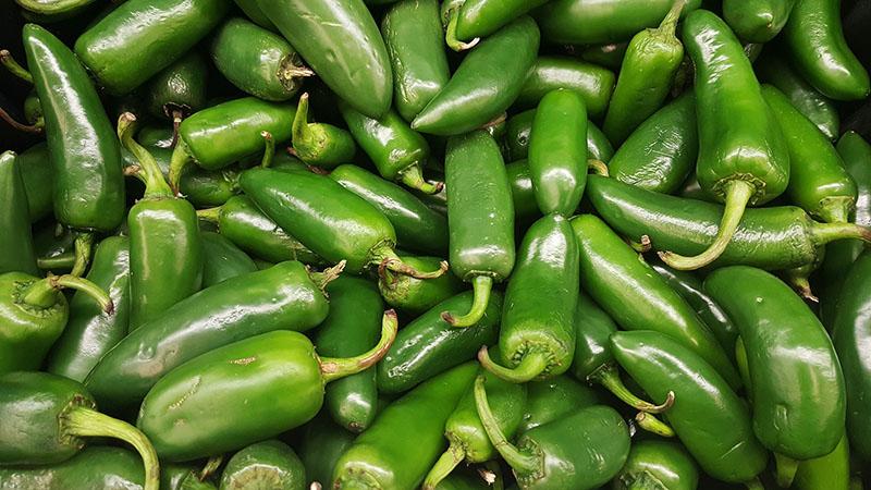 O que é pimenta Jalapeño, como é cultivada e utilizada?