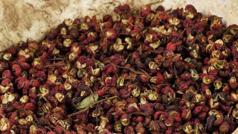 Que tipo de tempero é a pimenta Sichuan, como usá-la corretamente e o que pode ser substituído