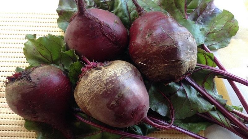 How to properly use beets for pancreatitis of the pancreas