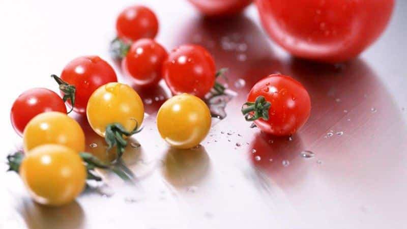 Comment cuisiner de délicieuses tomates cerises marinées : les meilleures recettes et recommandations de ménagères expérimentées