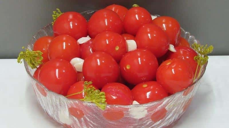 Cómo cocinar deliciosos tomates cherry en escabeche: las mejores recetas y recomendaciones de amas de casa experimentadas