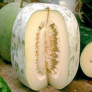 Mga nakapagpapagaling na katangian ng wax gourd at mga tampok ng paglilinang nito