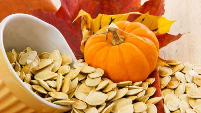 The best pumpkin varieties for seeds: features of choice and nuances of cultivation