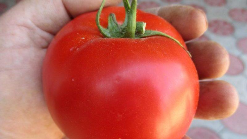 Penerangan terperinci tomato Linda F1 - ciri buah dan biji