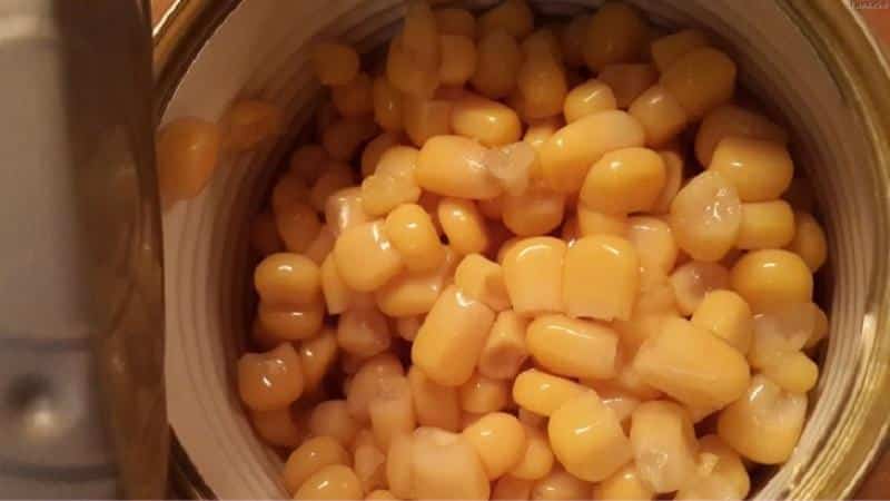 The benefits and harms of canned corn: choosing and eating the product correctly