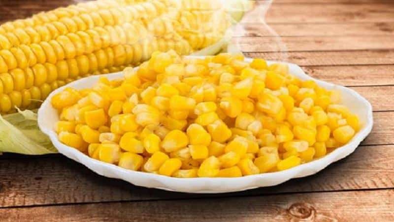 The benefits and harms of canned corn: choosing and eating the product correctly