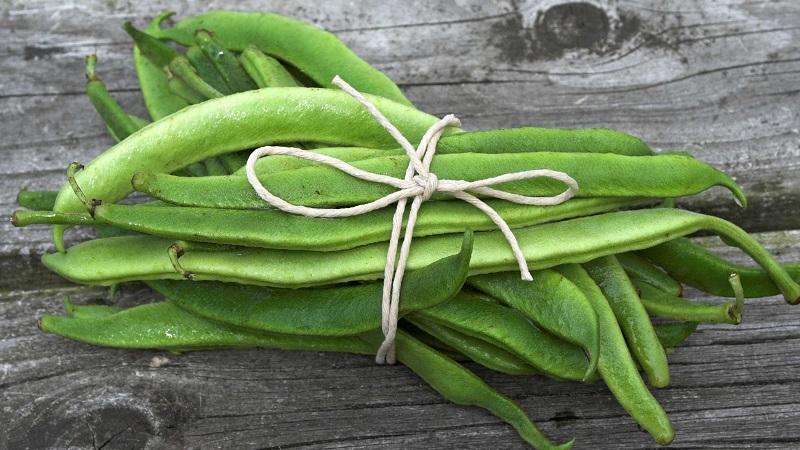 Ang mga benepisyo ng bean pods: kung paano maayos na mangolekta, maghanda at gumawa ng nakakagamot na inumin