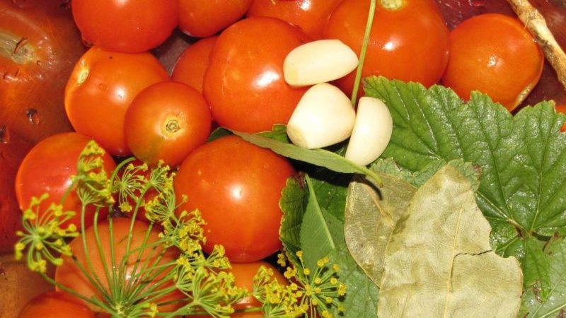 Le ricette più deliziose per i pomodorini in scatola: le migliori preparazioni invernali dai pomodori in miniatura