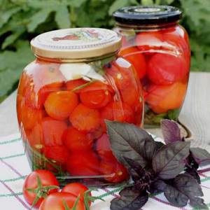 The most delicious recipes for canned cherry tomatoes: the best winter preparations from miniature tomatoes