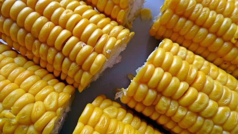 Tasty and sweet variety of corn Bonduelle: ideal for canning and fresh consumption