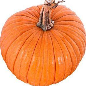 A large-fruited variety with a positive name - pumpkin Smile: secrets of agricultural technology for obtaining a bountiful harvest