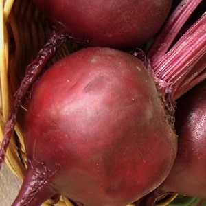 Ang isa sa mga pinakasikat na varieties sa mga magsasaka ay ang Pablo beets