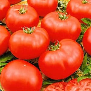 Uma variedade de tomate despretensiosa, mas muito saborosa.Mercado Milagre com uma rica colheita - um dos favoritos dos jardineiros experientes.