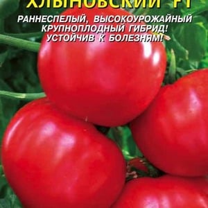 Tomate Khlynovsky simple et sans problème: caractéristiques et description de la variété