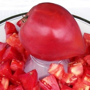 Varieti hibrid masak awal dari penternak Siberia - tomato Ob Domes dan ulasan daripada penduduk musim panas tentang tomato ini