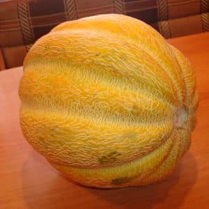 Kā kumelīšu melone atšķiras no citām šķirnēm un vai ir vērts to audzēt?