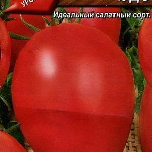 Universal, produtivo, de maturação precoce e tão apreciado pelos veranistas, o tomate Siberian Miracle