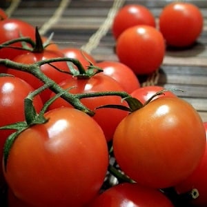 Gambaran keseluruhan tomato Gardener: kebaikan dan keburukan, keadaan pertumbuhan dan ciri-ciri tanaman siap