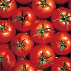 Ideal for cool climates, but at the same time giving a rich harvest, the Marfa F1 tomato