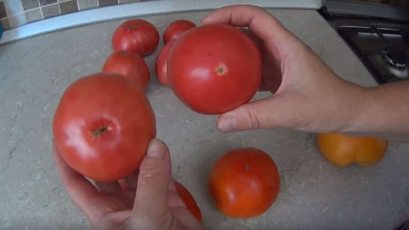 Hur man förbereder tomatfrön hemma och får en vinterskörd från dem - råd från erfarna trädgårdsmästare