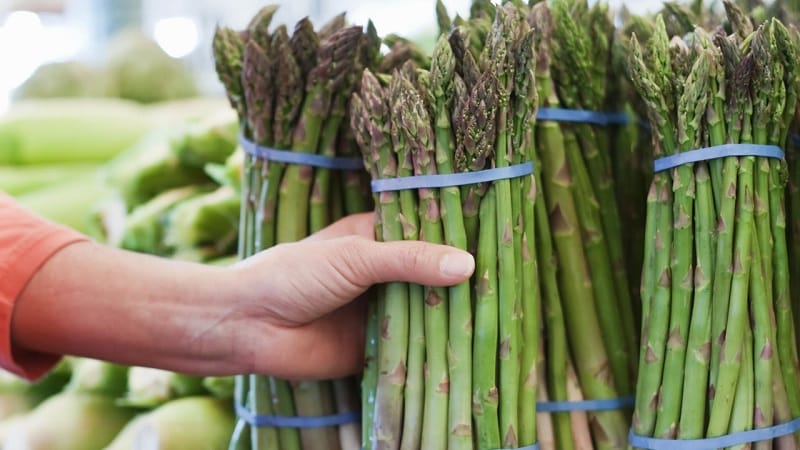 Cosa fanno bene gli asparagi per dimagrire e come mangiarli correttamente quando si combatte il sovrappeso